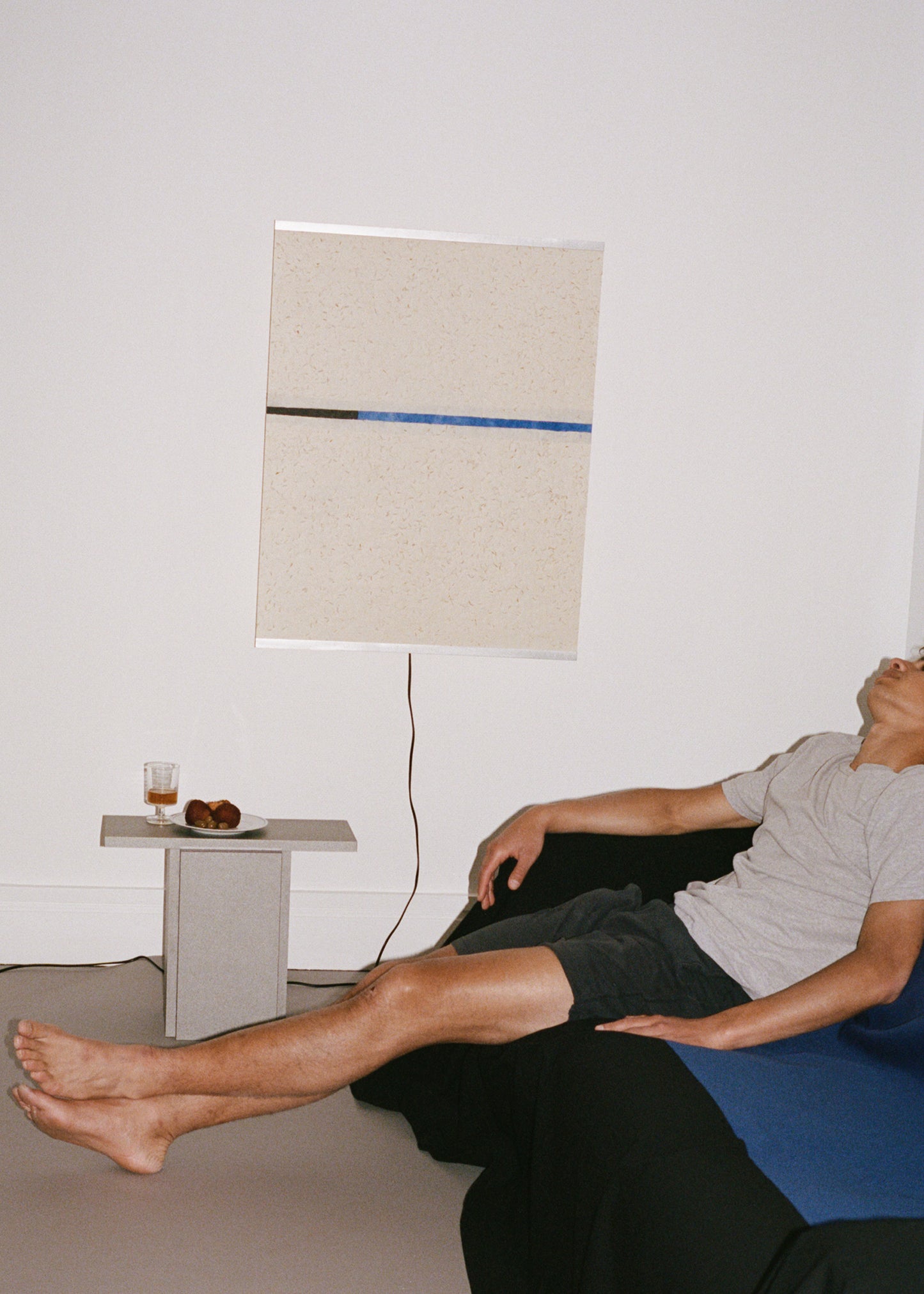 Sofa Cover – Black and Blue